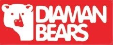 Loja de diamanbearsloja